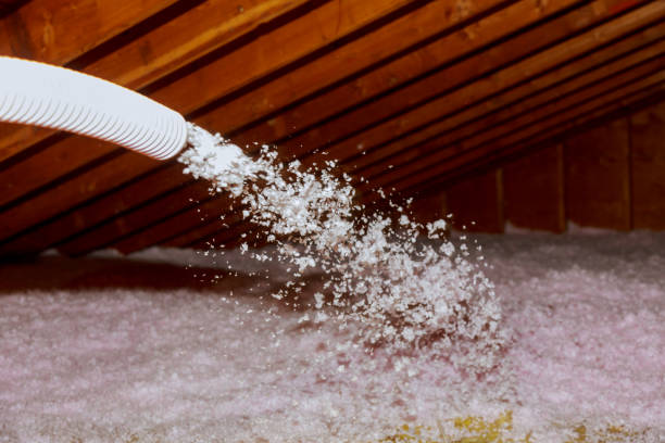 Best Insulation Materials and Products in North Sioux City, SD