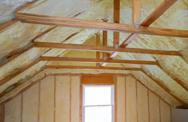 Best Residential Insulation in North Sioux City, SD