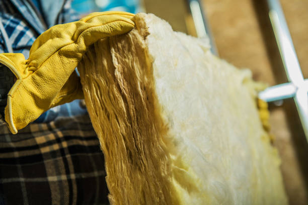 Best Residential Insulation in North Sioux City, SD